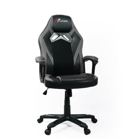 เก้าอี้เกมมิ่ง TTRacing Duo V3 หนัง PU สีเทา